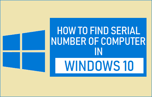 how to find windows 10 serial